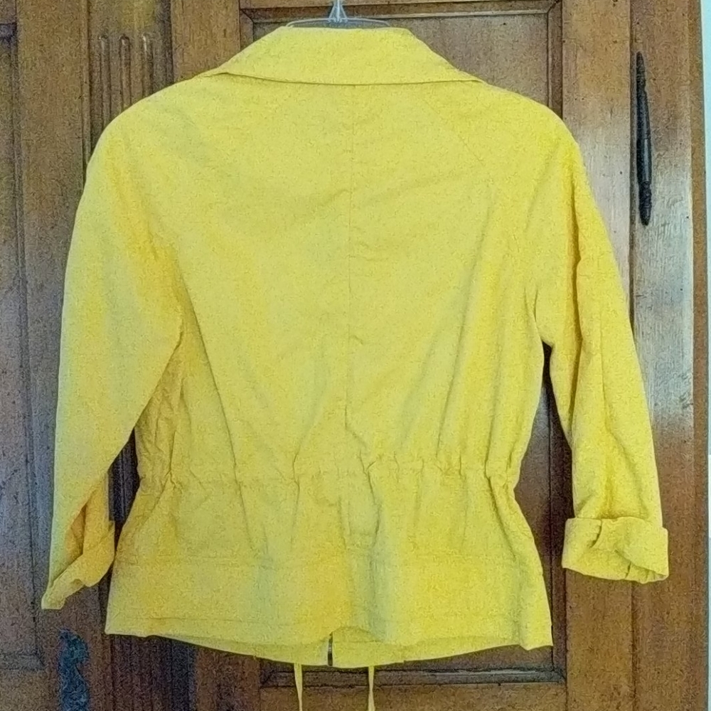 Yellow jacket - Picture 3 of 5
